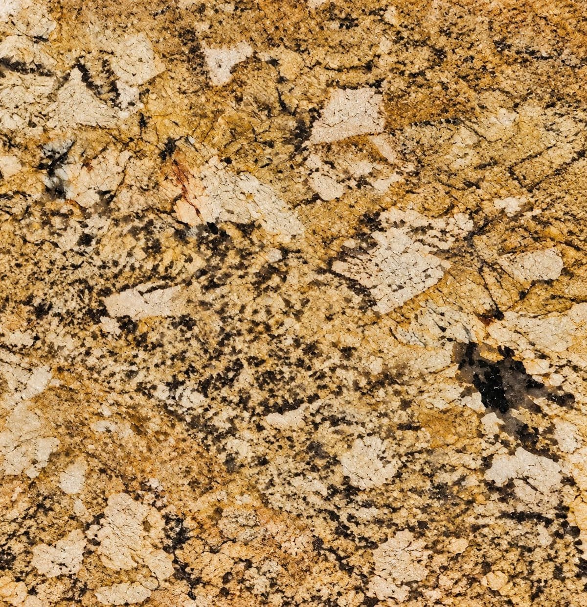 Alaska Gold granite, close-up of the polished surface (sample photo of the variety)
