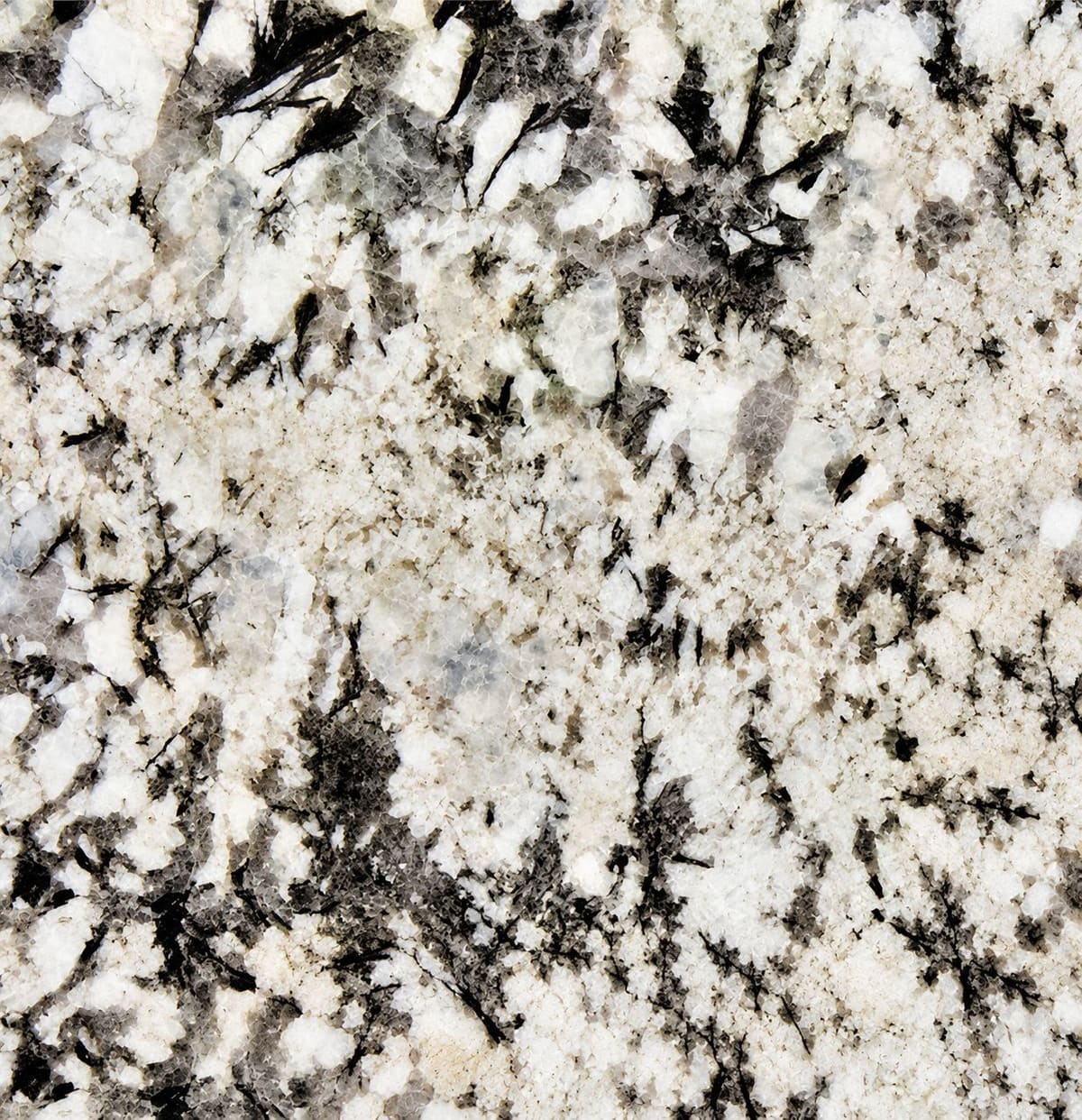 Alaska White granite, close-up of the polished surface (sample photo of the variety)