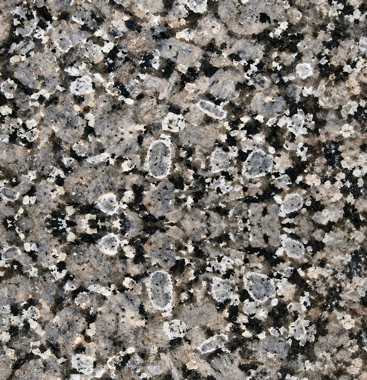 Crystal Brown granite, close-up of the polished surface (sample photo of the variety)