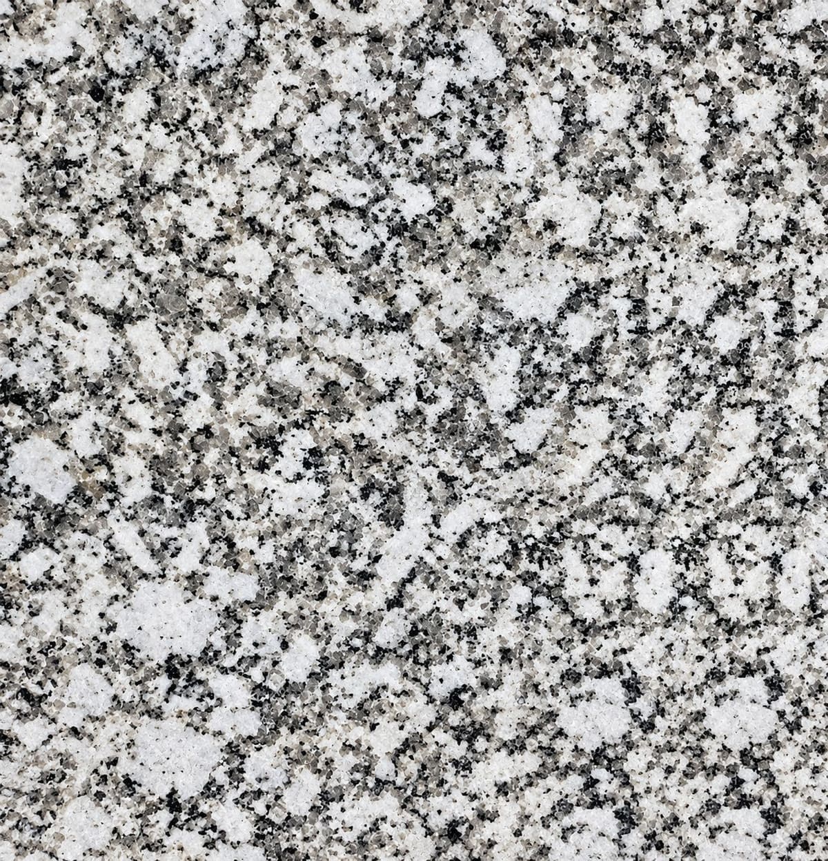 P White granite, close-up of the polished surface (sample photo of the variety)
