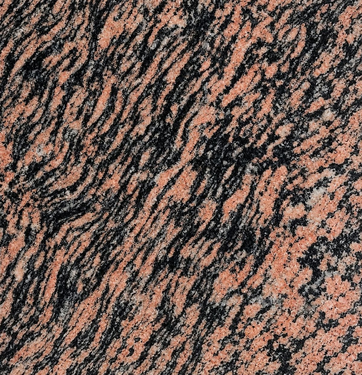 Tiger Skin granite, close-up of the polished surface (sample photo of the variety)